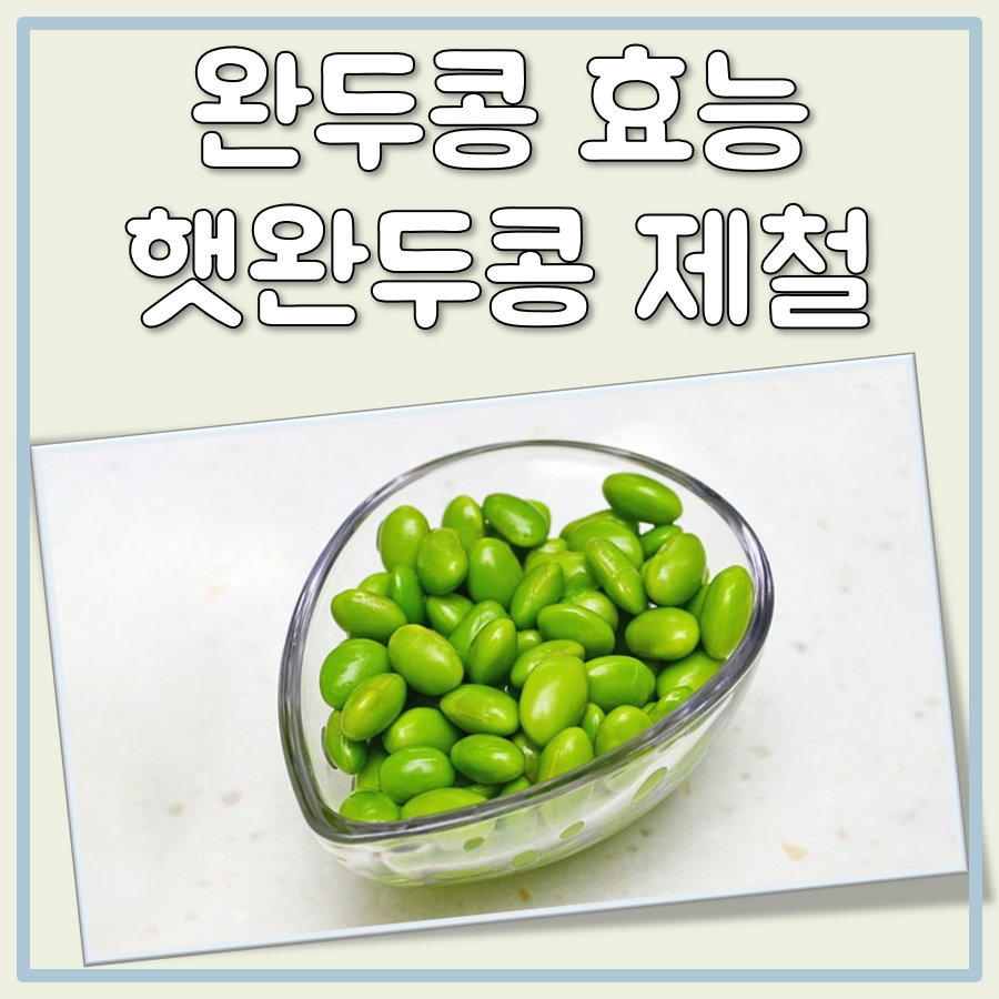 완두콩 효능 및 햇완두콩 제철 대표 이미지