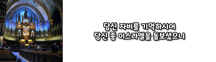 천주교 성모 성월 기도문_성월 기도