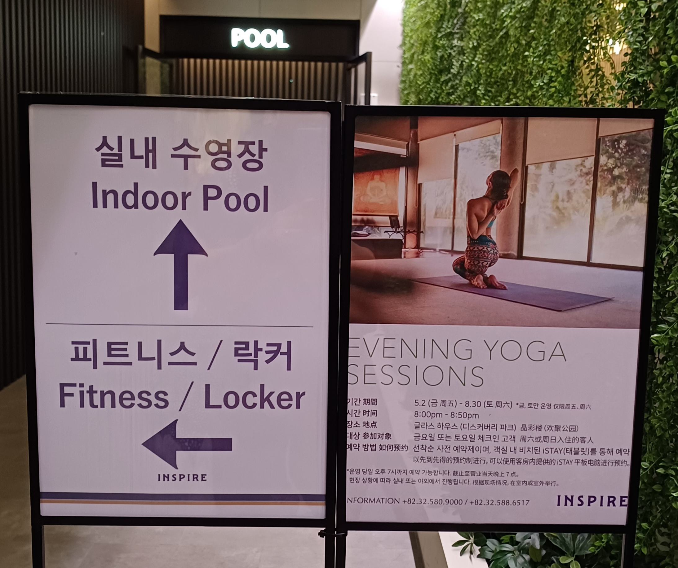 호캉스-호텔수영장-3