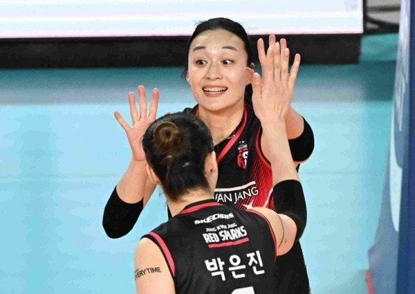 원더독스뜻 배구 멤버 경기결과 방송 이진