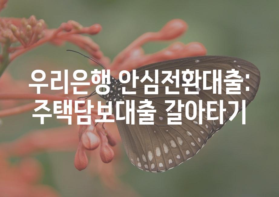 샘플 (51)