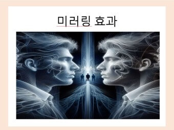 미러링 효과와 기법