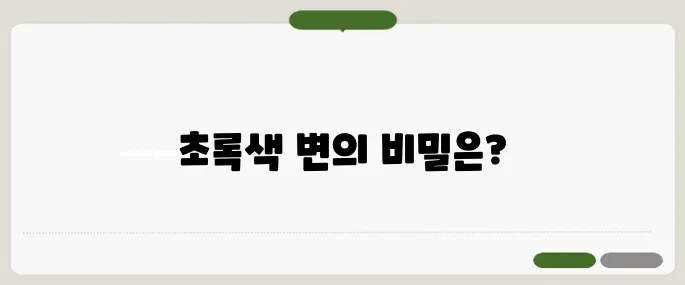 초록색 변 추천 지금 바로 해결해봐요