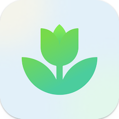 식물 식별(Plant App) 어플, AI 식물 식별 하기, 사진으로 식물 이름 찾기