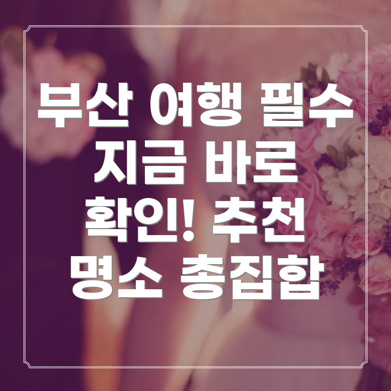 개인회생 신청