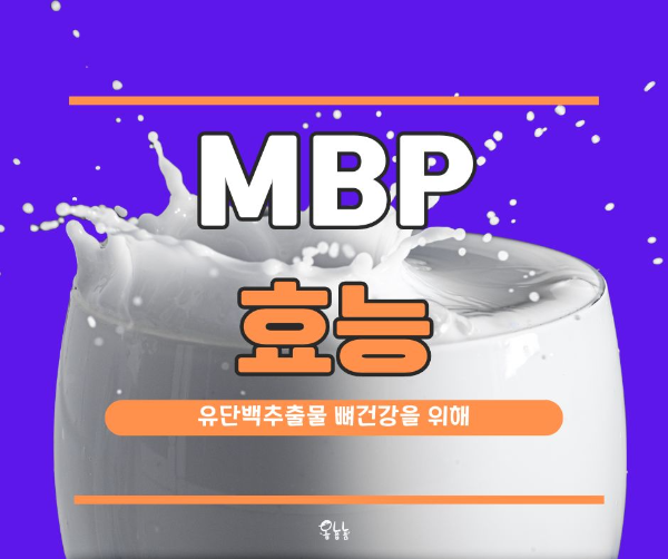 MBP 효능