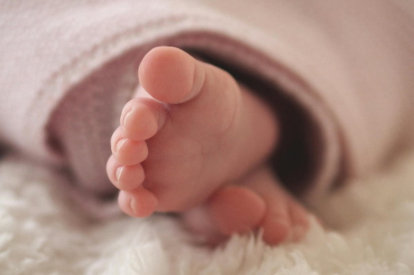 수원 코베 베이비페어&유아교육전