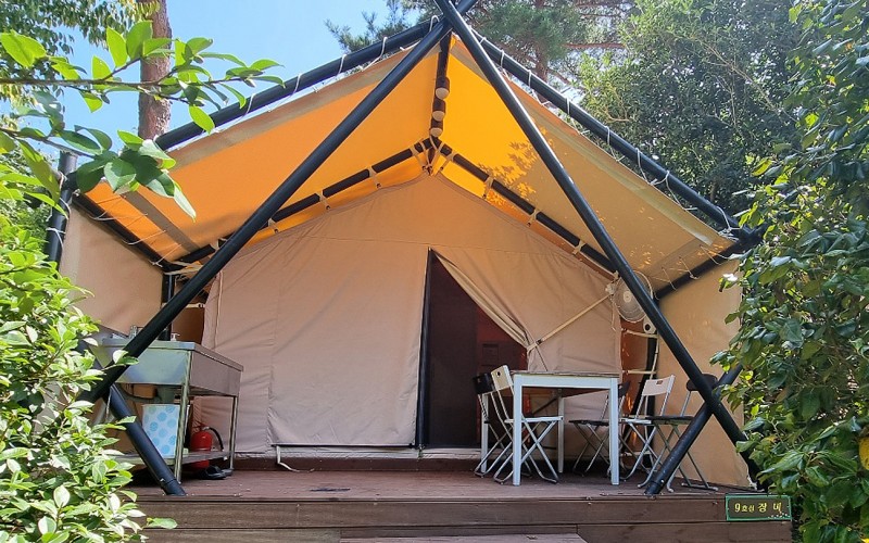 장흥 하늘빛수목원 튤립축제