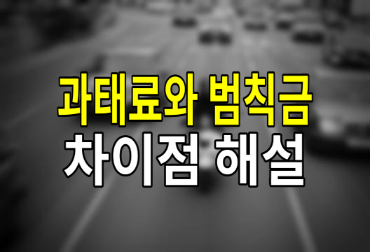 과태료와 범칙금, 차이점 비교 정리