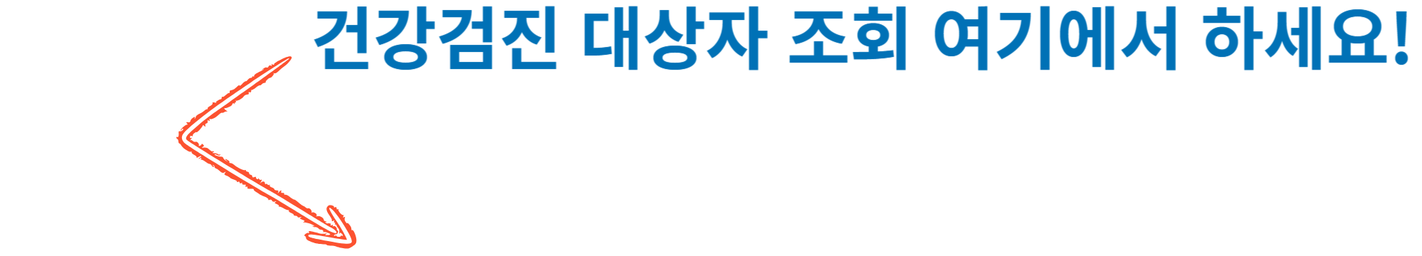 건강검지 대상자 조회 사진