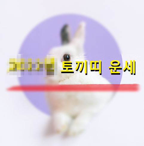 2022년-토끼띠-운세