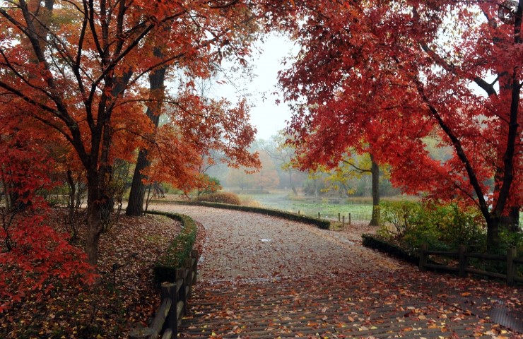 수도권 한적한 나들이 장소, 포천 국립 수목원