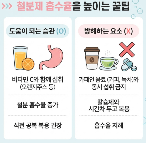 임산부철분제복용시기