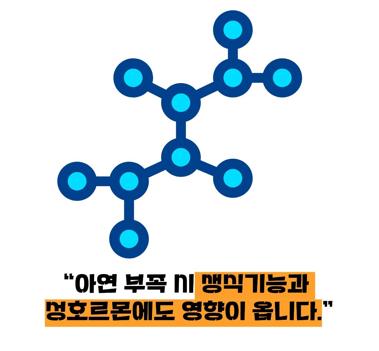 아연의 호르몬의 관계 이미지