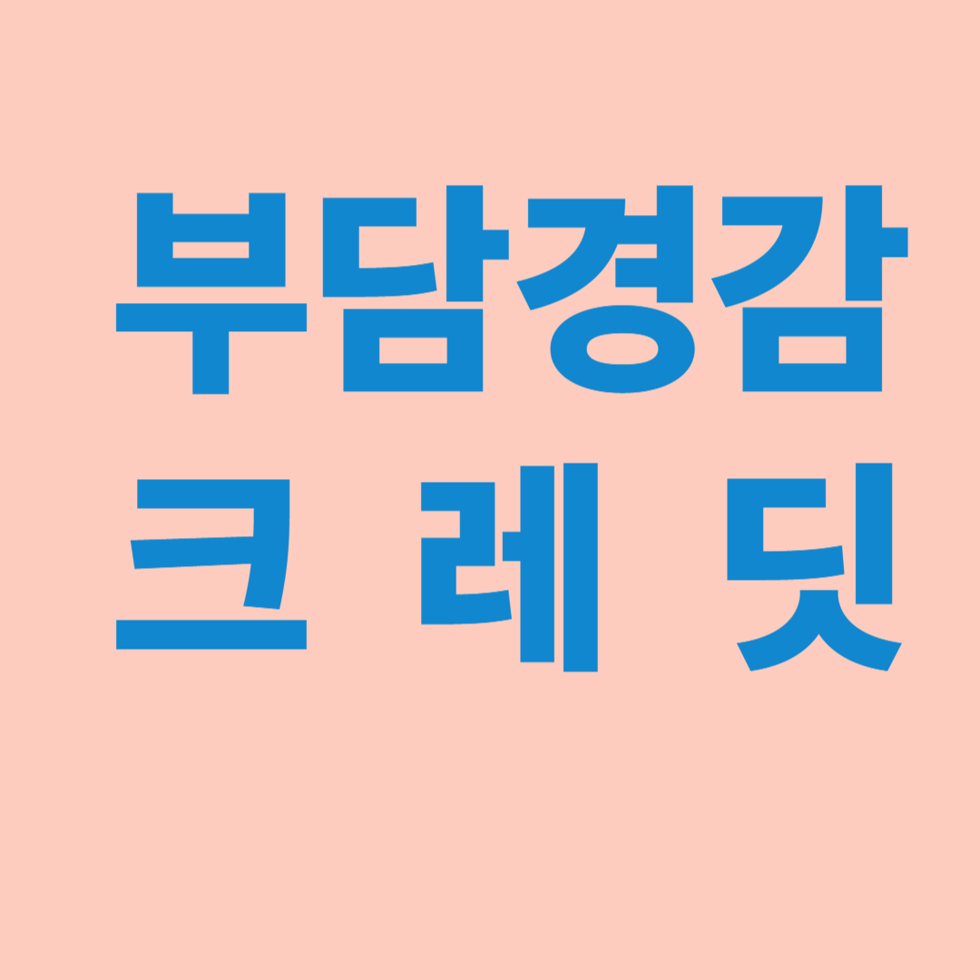 부담경감 크레딧