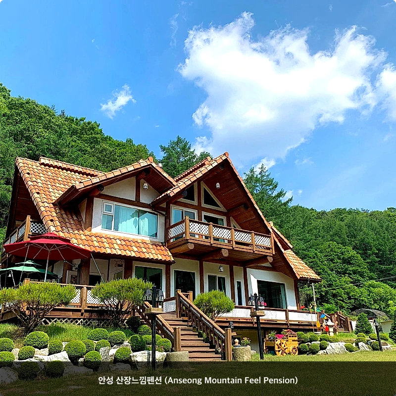 안성 산장느낌펜션 (Anseong Mountain Feel Pension)_1