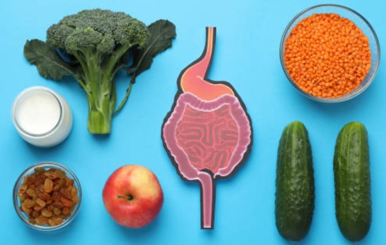 한국인의 장 건강식 재조명 (김치, 나물, 된장)