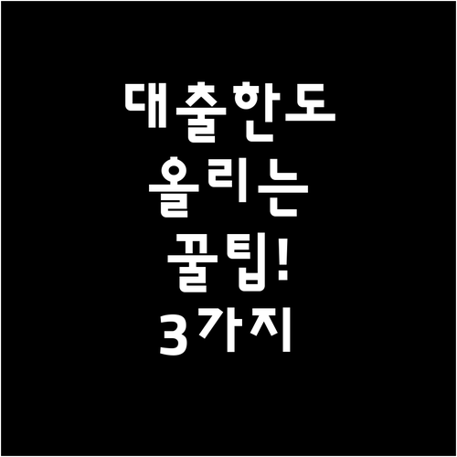 카카오뱅크 마이너스통장 한도 높이는 ..