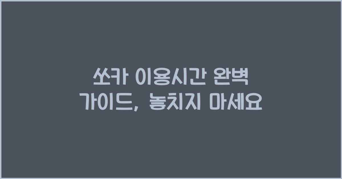 쏘카 이용시간
