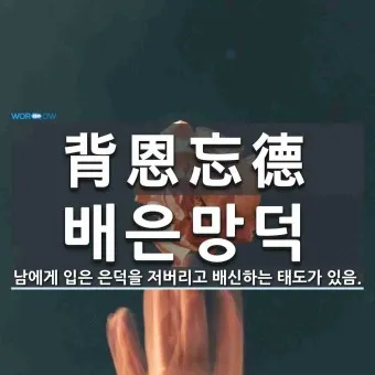 배은망덕 뜻 의미 실제 사례 유래_3