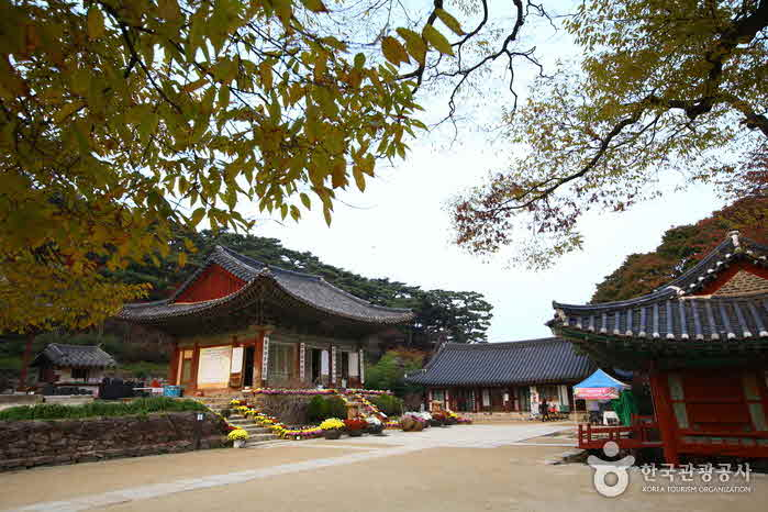 강화도3