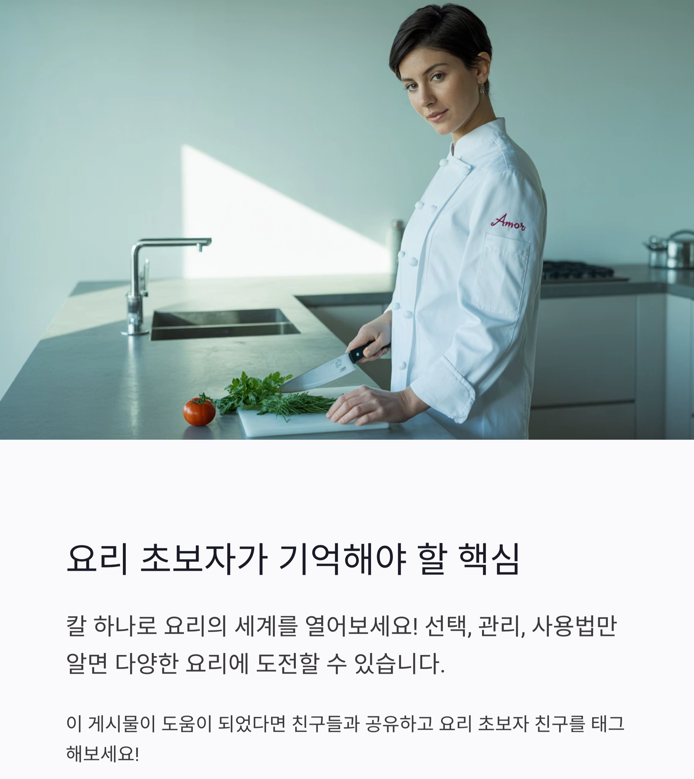 주방 칼 하나로도 가능한 만능 요리 비법 공개