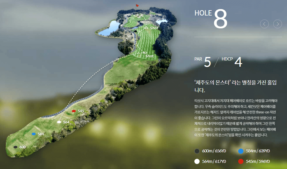 롯데스카이힐제주 컨트리클럽 힐코스 8