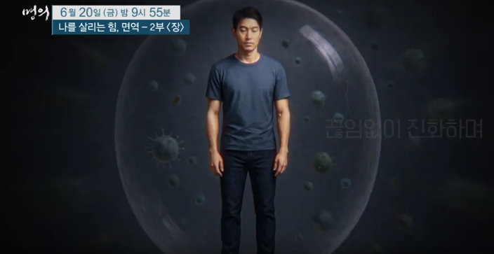 명의 면역력 장