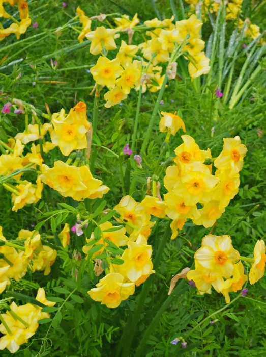 미래에셋 ISA 만기이전 방법