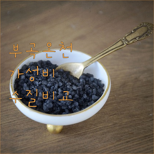 창녕 부곡 온천 호텔 가성비 숙소 베..