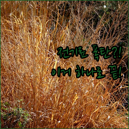 전기요금 걱정 끝! 으뜸효율 삼성 제..