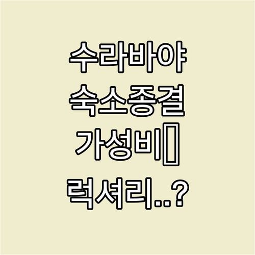 수라바야 여행 숙소 선택 가이드 위치..
