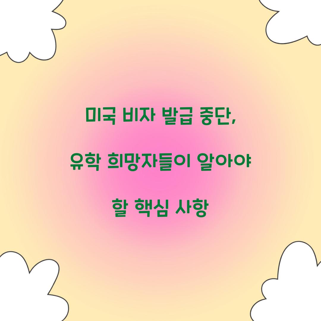 미국 비자 발급 중단