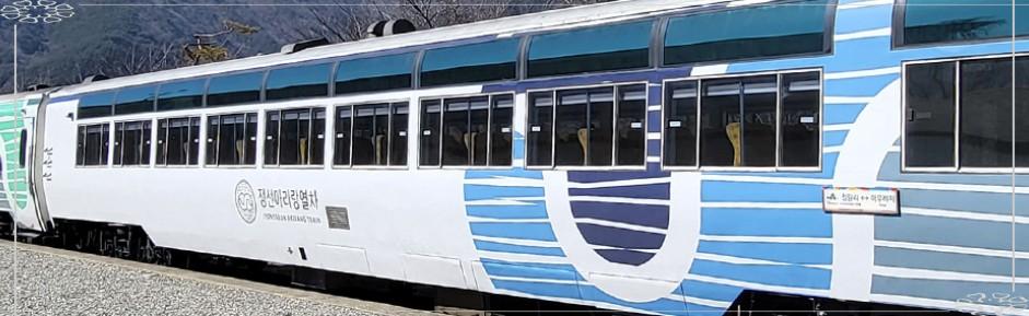 태백 눈꽃열차 여행 완전 가이드 2025–2026 ❘ 정선·태백 당일치기 코스