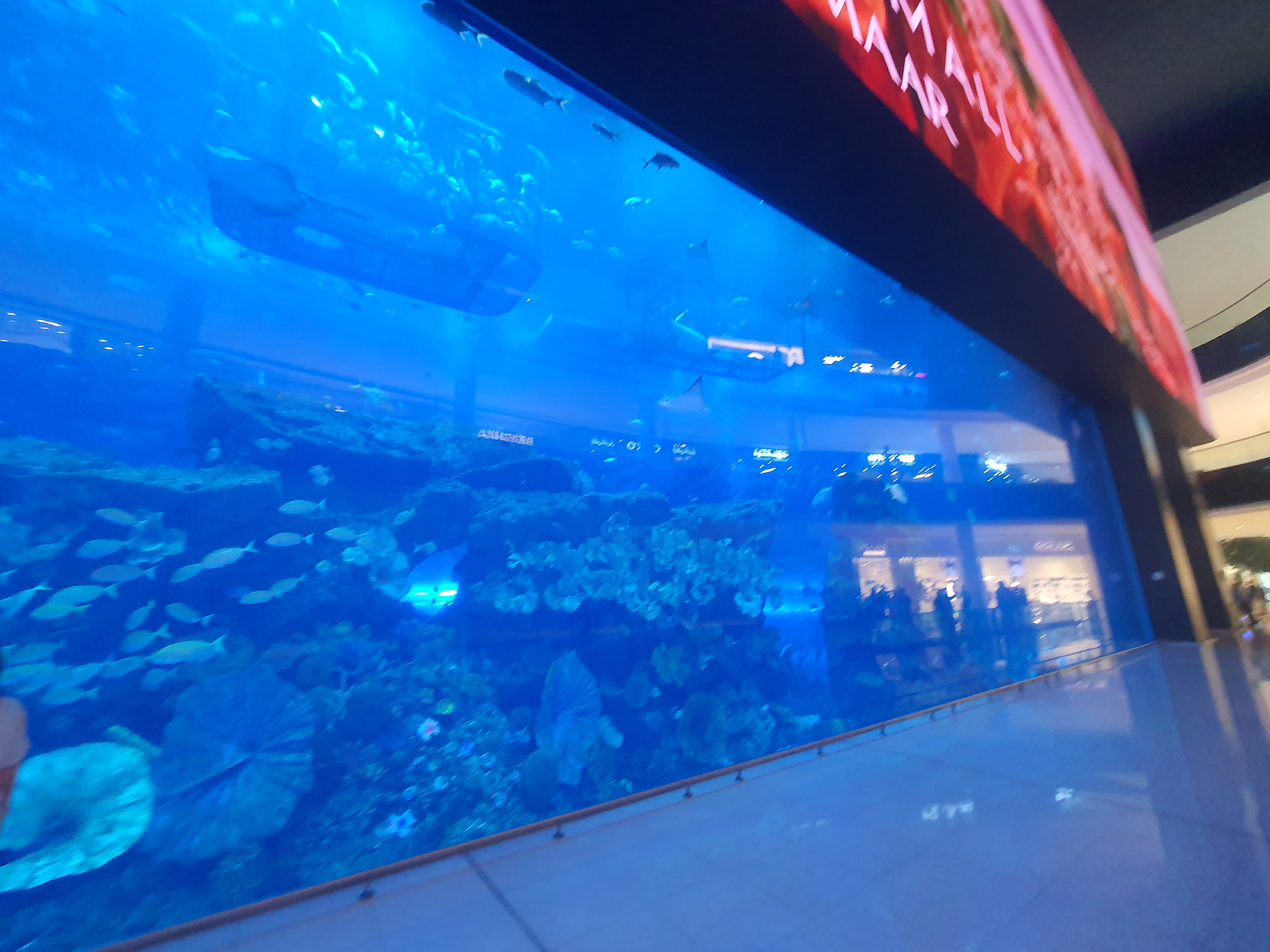 두바이 두바이몰 쇼핑 가이드