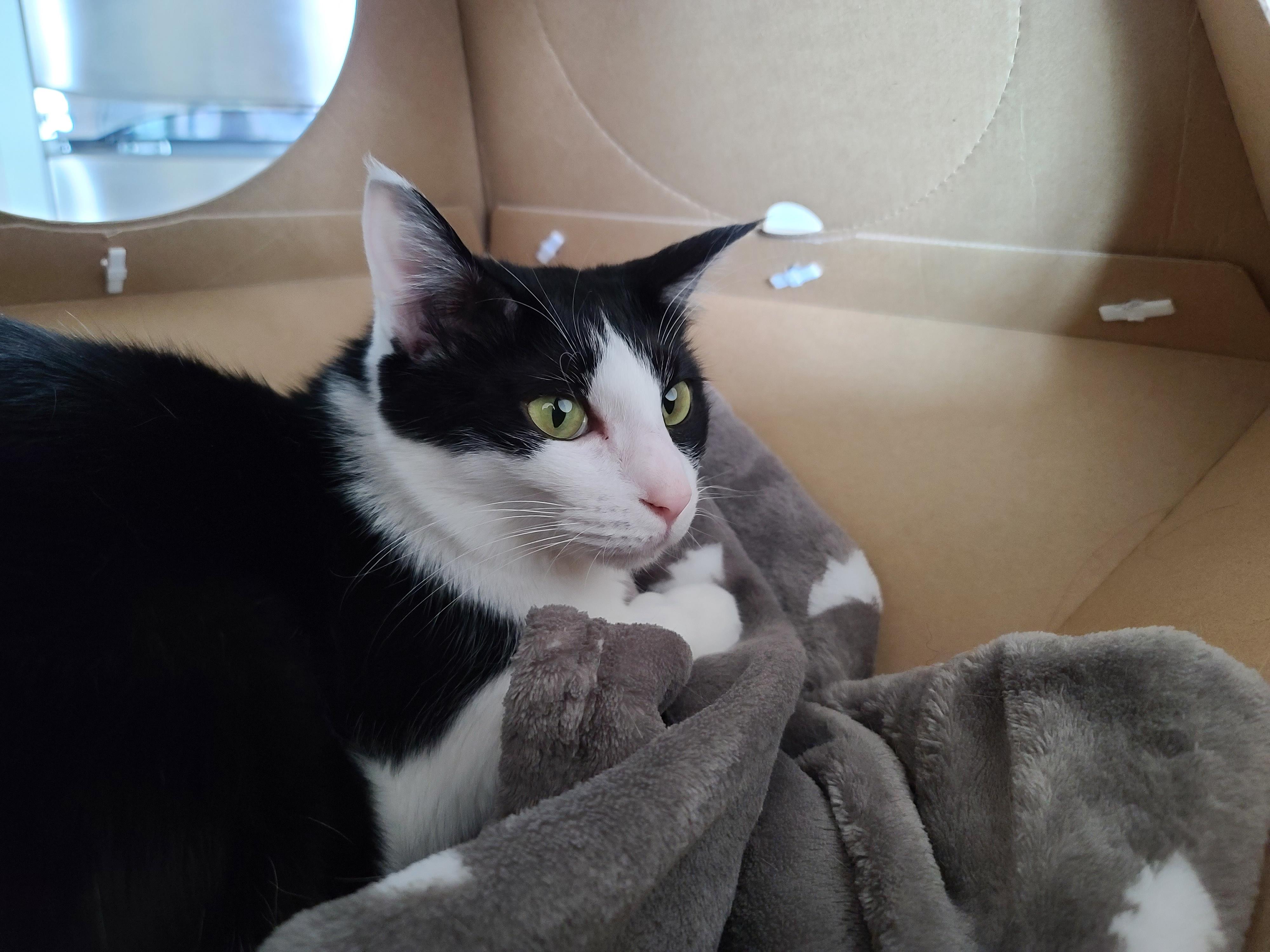 어서와~ 캣미로 루프탑은 처음이지?