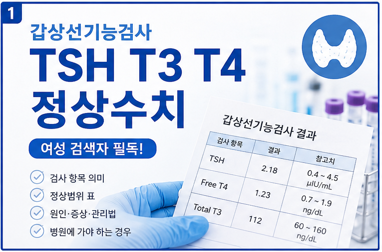 갑상선 기능검사 정상수치 정리