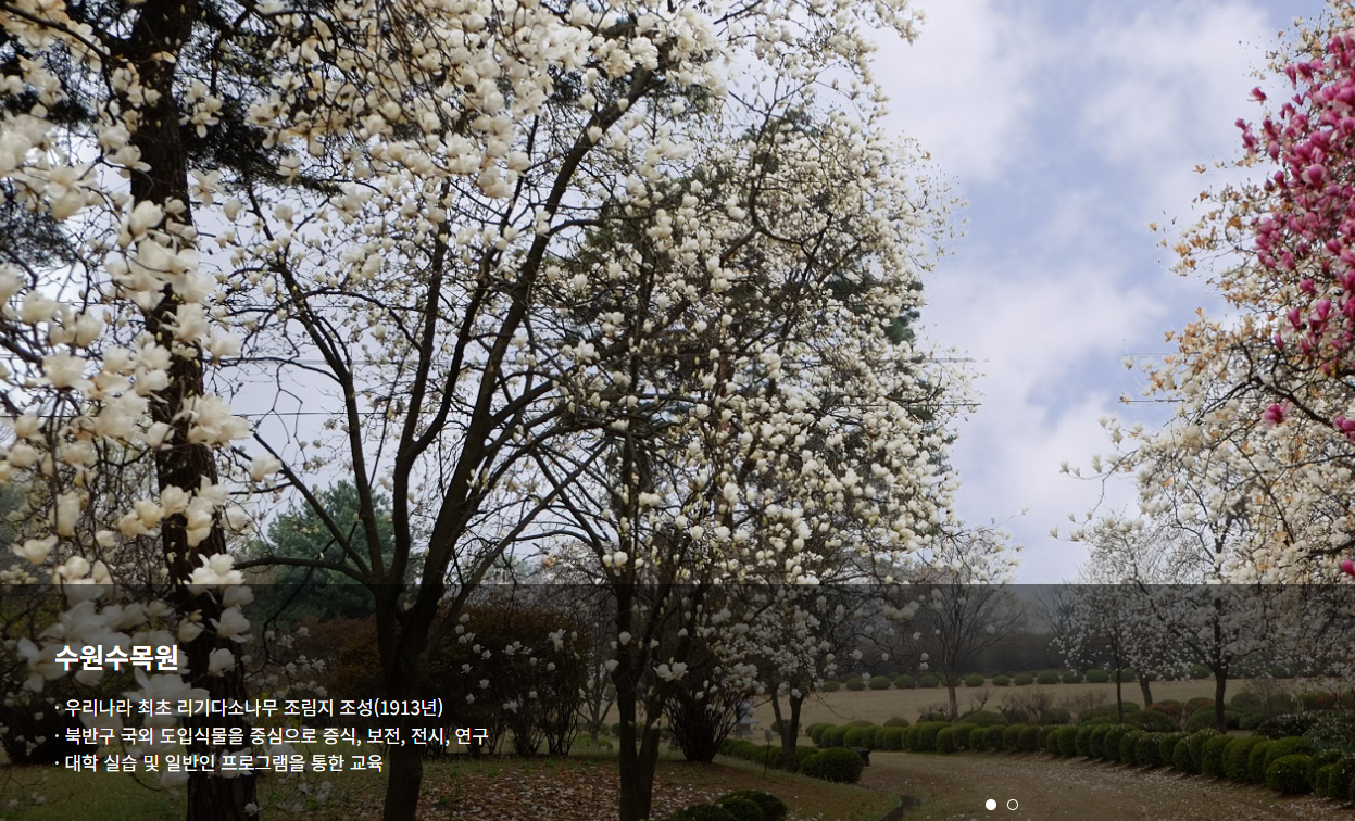 서울대-관악수목원