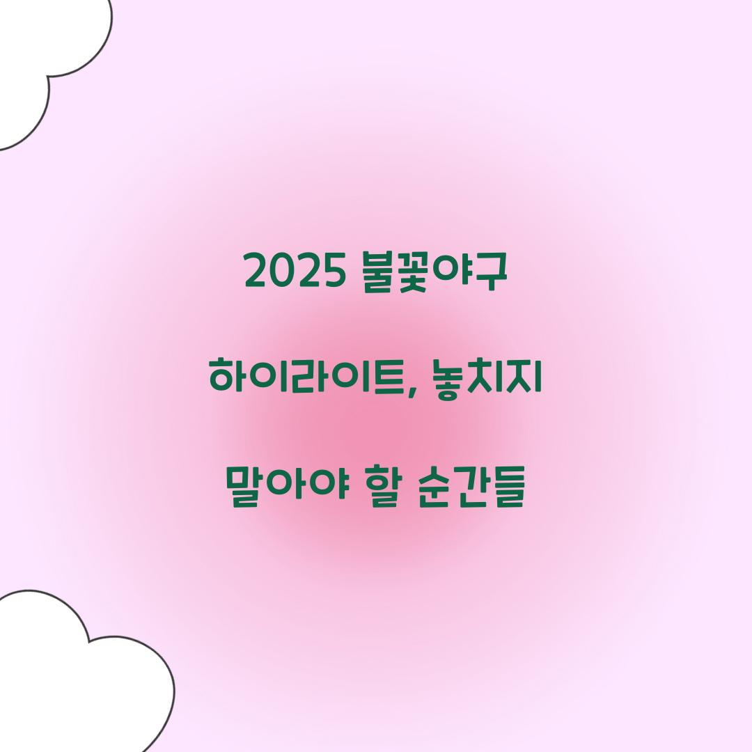 불꽃야구 하이라이트