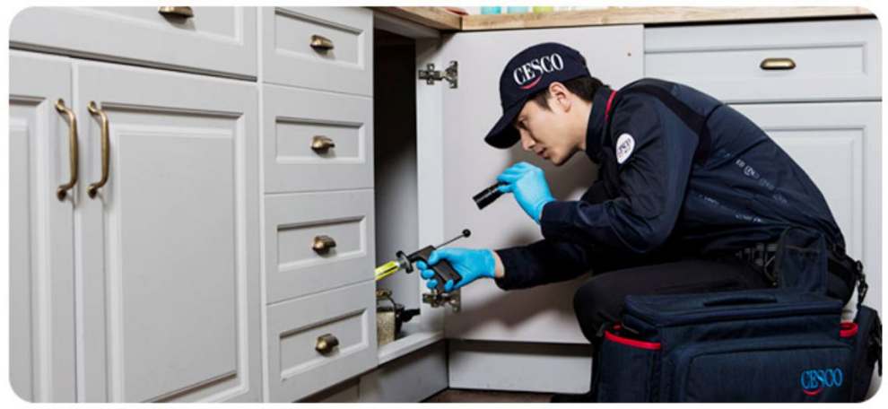 세스코 가정집 비용