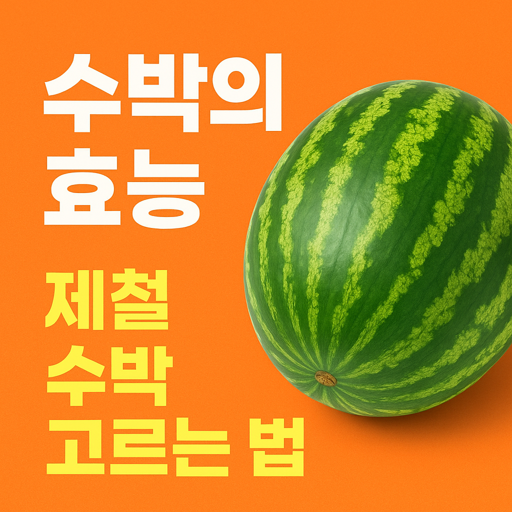 수박 효능과 부작용 맛있는 수박 고르는법