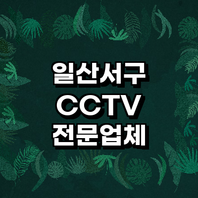 고양 일산서구 cctv