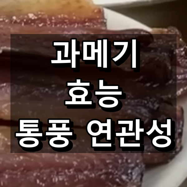 과메기 효능과 통풍 연관성 대표 이미지