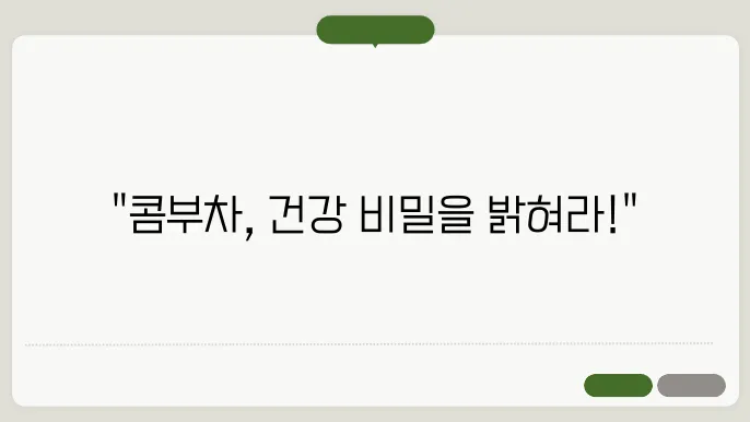 콤부차 성분과 효과