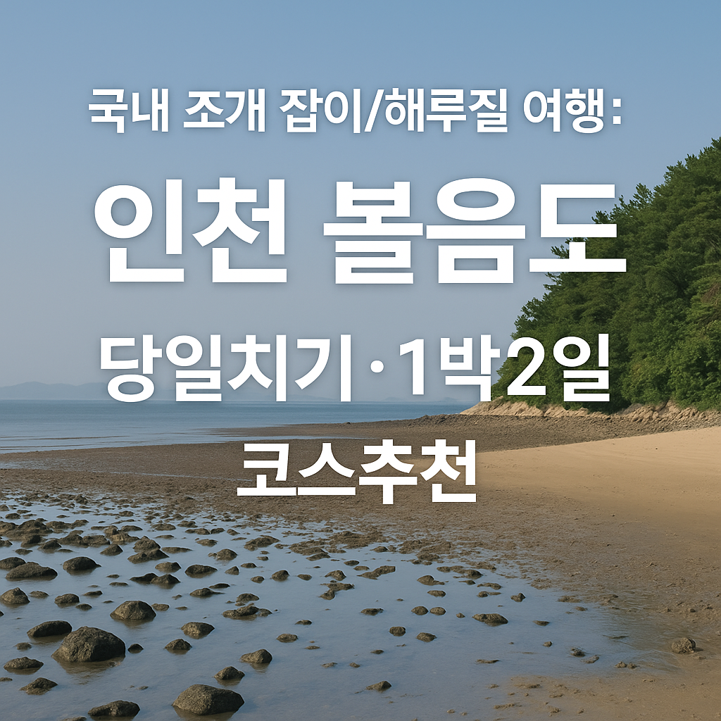 인천 볼음도 조개잡이 여행 썸네일 사진