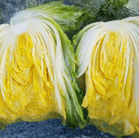 괴산 절임배추 추천