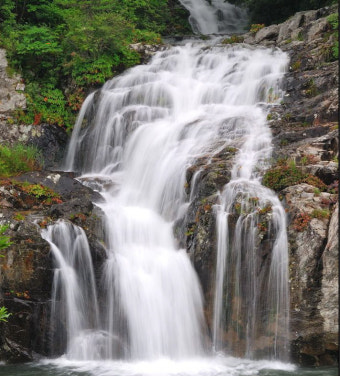 노비타 비데 서비스센터