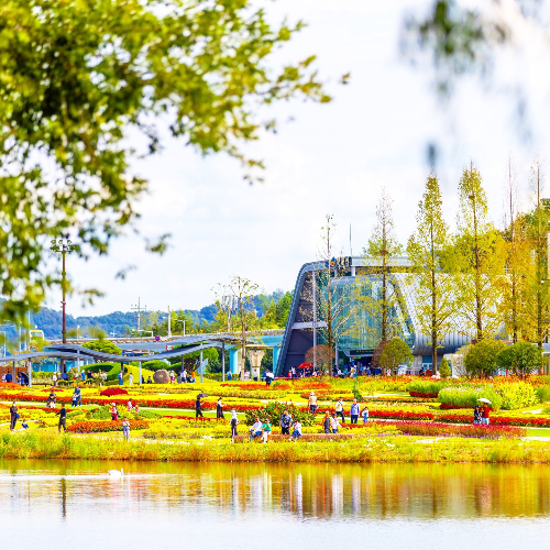 순천만 갈대축제