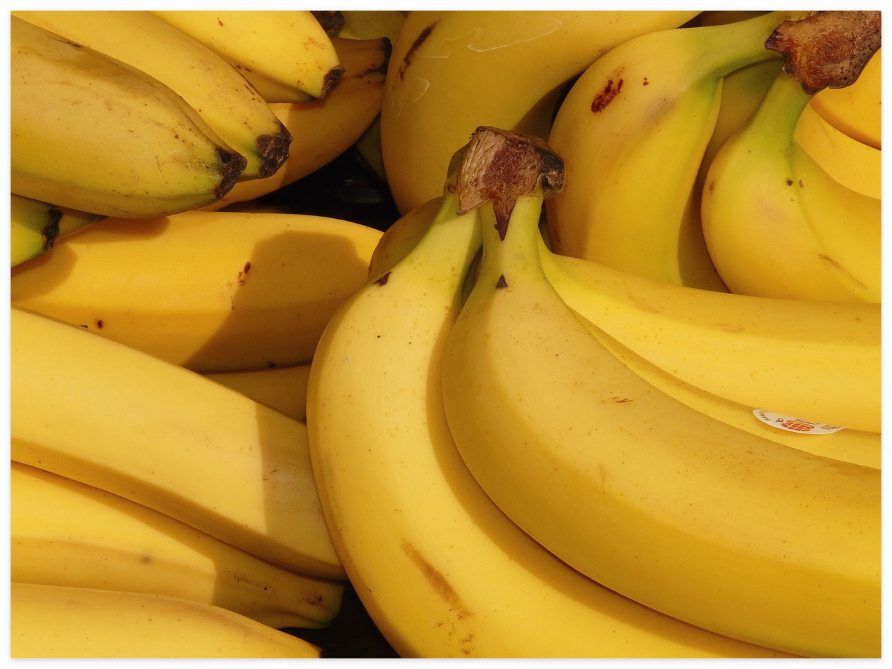 혈압을 낮추는 10가지 과일의 놀라운 힘