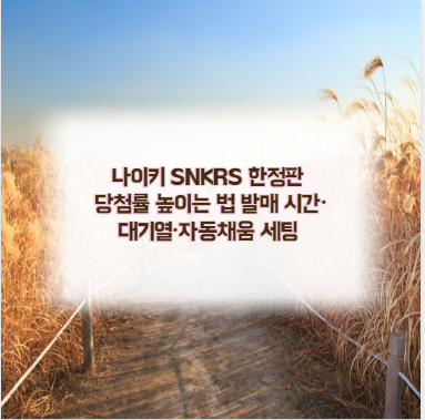 나이키 SNKRS 한정판 당첨률 높이는 법 발매 시간&middot;대기열&middot;자동채움 세팅
